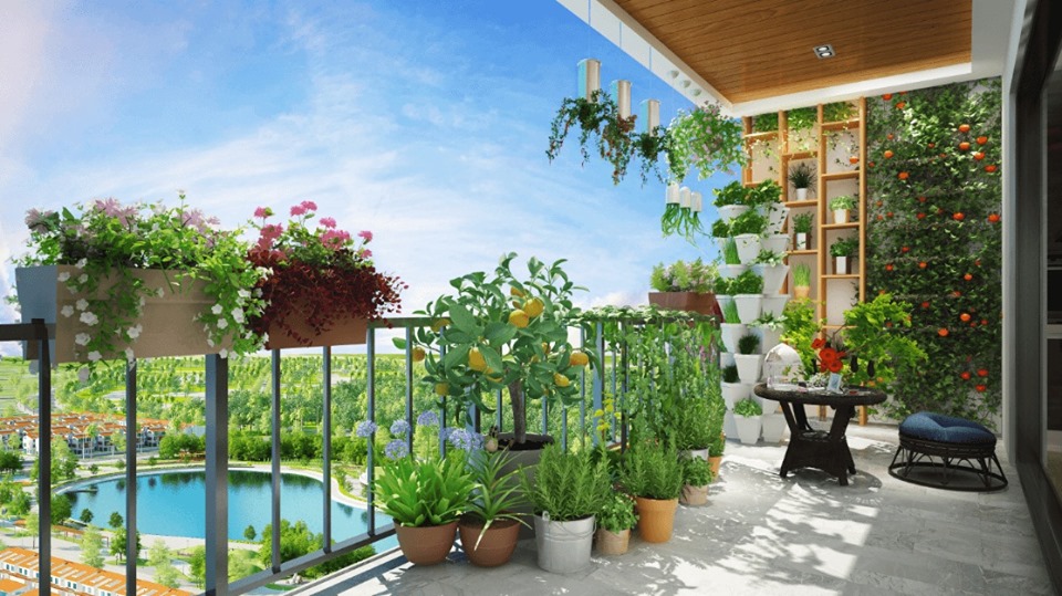 Chung cư Pent Studio